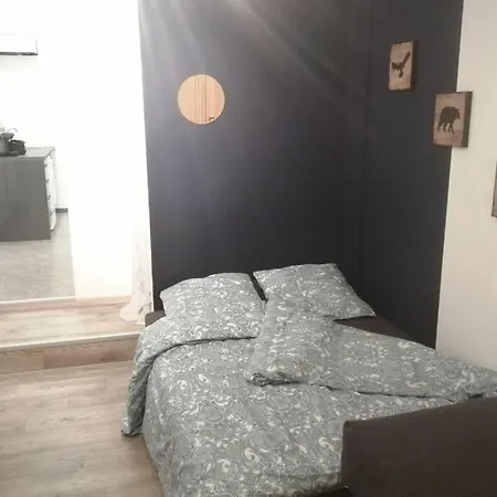 T2 Cosy 4 Pers Max Centre Ville & Parking & Wifi Fibre